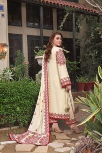 Aneela's Heavy Embroidered Suit