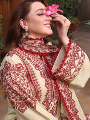 ANEELA’S HEAVY EMBROIDERED SUIT