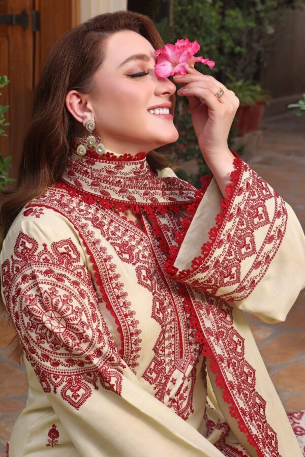 ANEELA’S HEAVY EMBROIDERED SUIT