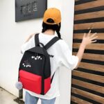 School Students & Professional Backpack