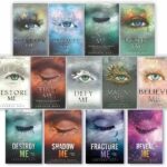 Tahereh Mafi 13 Novels Book Set