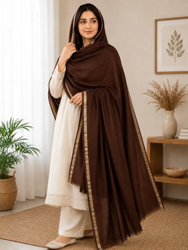 Women's Pashmina Wool's Shawl -Color Brown