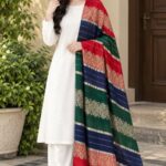 Women's Pashmina Jackward Colorful Shawl